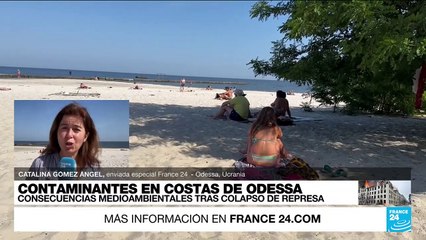 Informe desde Odessa: consecuencias medioambientales de la destrucción de la presa Nova Kakhovka
