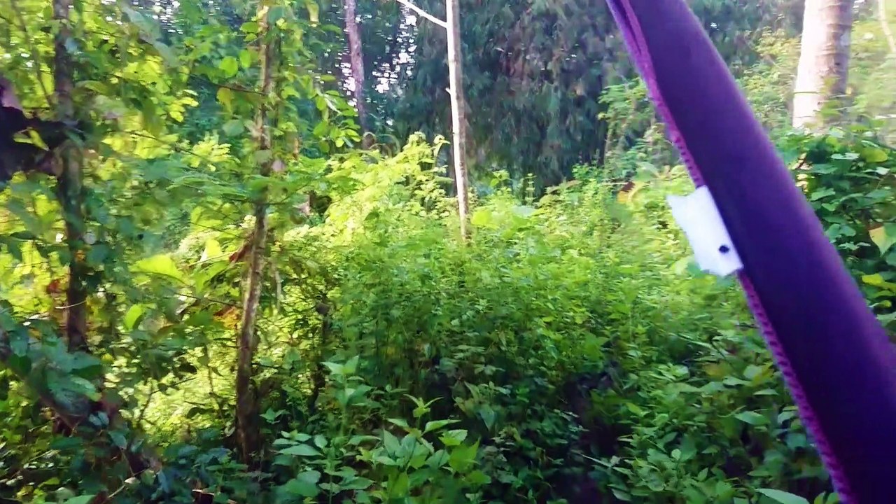 Very nice fishing