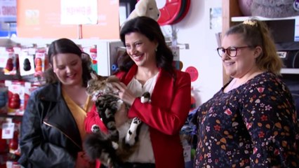 SA government proposes to give tenants the right to own pets