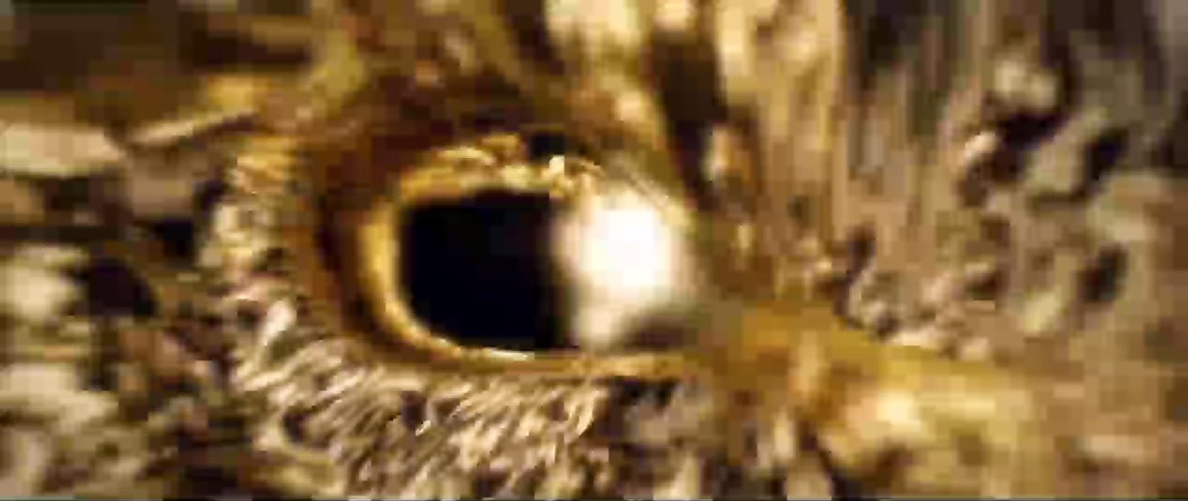 Hunger Games: la Ballade du serpent et de l'oiseau chanteur Bande-annonce (IT)