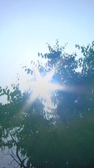 미 남부 50도 육박! 전 세계 ‘살인 더위’ 기승 🌡️