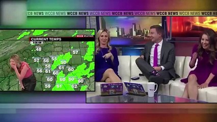 BEST NEWS BLOOPERS COMPILATION Live TV oops moments