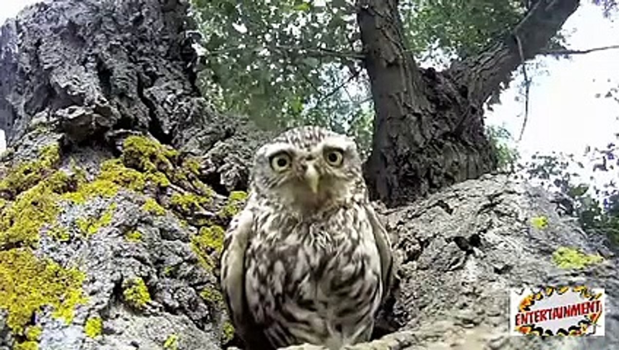 You Think You Saw Everything