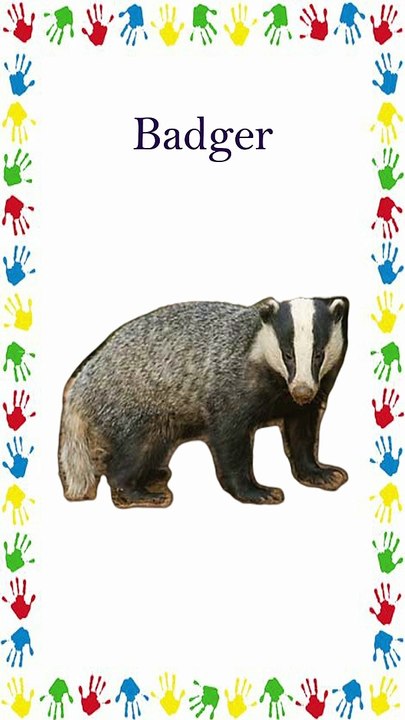 जंगली जानवरों के नाम | Wild Animals | Wild Animals Name | Wild Animals for Kids | Kids Video #shorts