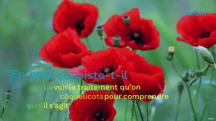 Qu'est-ce que le syndrome du Grand Coquelicot et pourquoi affecte-t-il davantage les femmes ?