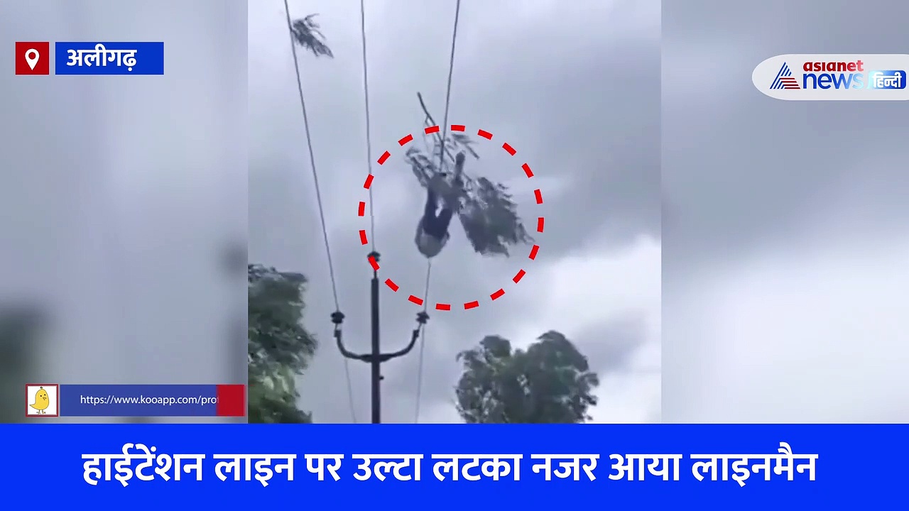 जान जोखिम में डालकर हाईटेंशन लाइन पर लटकते युवक का वीडियो हुआ वायरल, लोग बोले- पेट का सवाल है साहब