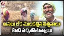 Cotton Farmers Facing Problems Due To Delay In Rains | Adilabad | V6 News