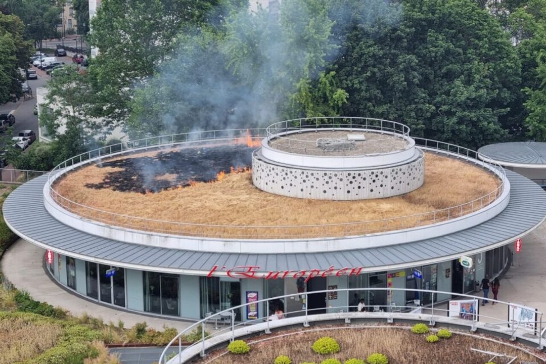 Saint-Germain-en-Laye : les invités du mariage mettent le feu avec des tirs de mortiers