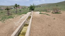 4 köyde hayatı felç etti, 10 bin hayvan susuz kaldı