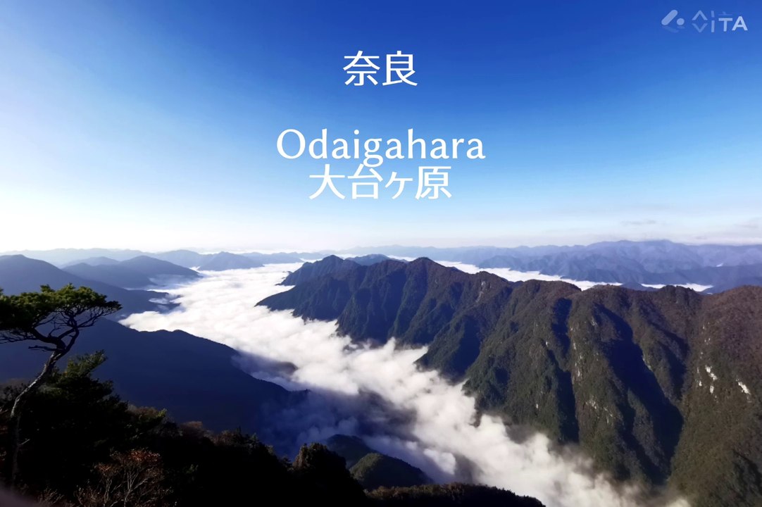 Nara Odaigahara 大台ヶ原