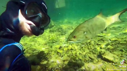 Meet the man who has become friends with a wild FISH and now the pair "meet" every summer at the same spot