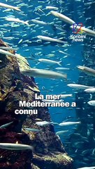 Tu savais qu'il y avait des incendies sous-marins ?