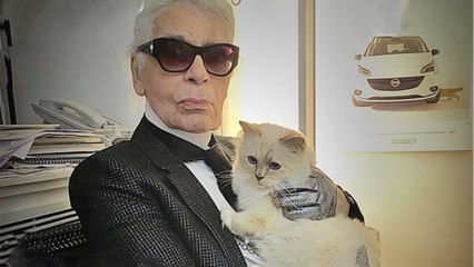 GALA VIDEO - PHOTO - Karl Lagerfeld : ce tendre message de sa petite Choupette fait fondre les internautes