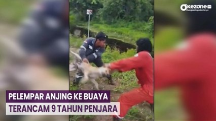 Pelaku Pelempar Anjing ke Buaya Terancam 9 Tahun Penjara