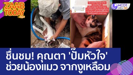 ชื่นชม! คุณตา 'ปั๊มหัวใจ' ช่วยชีวิตน้องแมว จากงูเหลือม (19 มิ.ย. 66) แซ่บทูเดย์