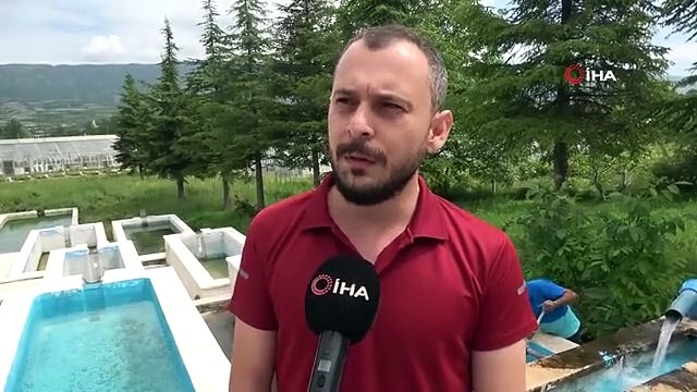 Bu araştırma denizi olmayan kenti alabalık yetiştiriciliğinde dünya birincisi yapacak
