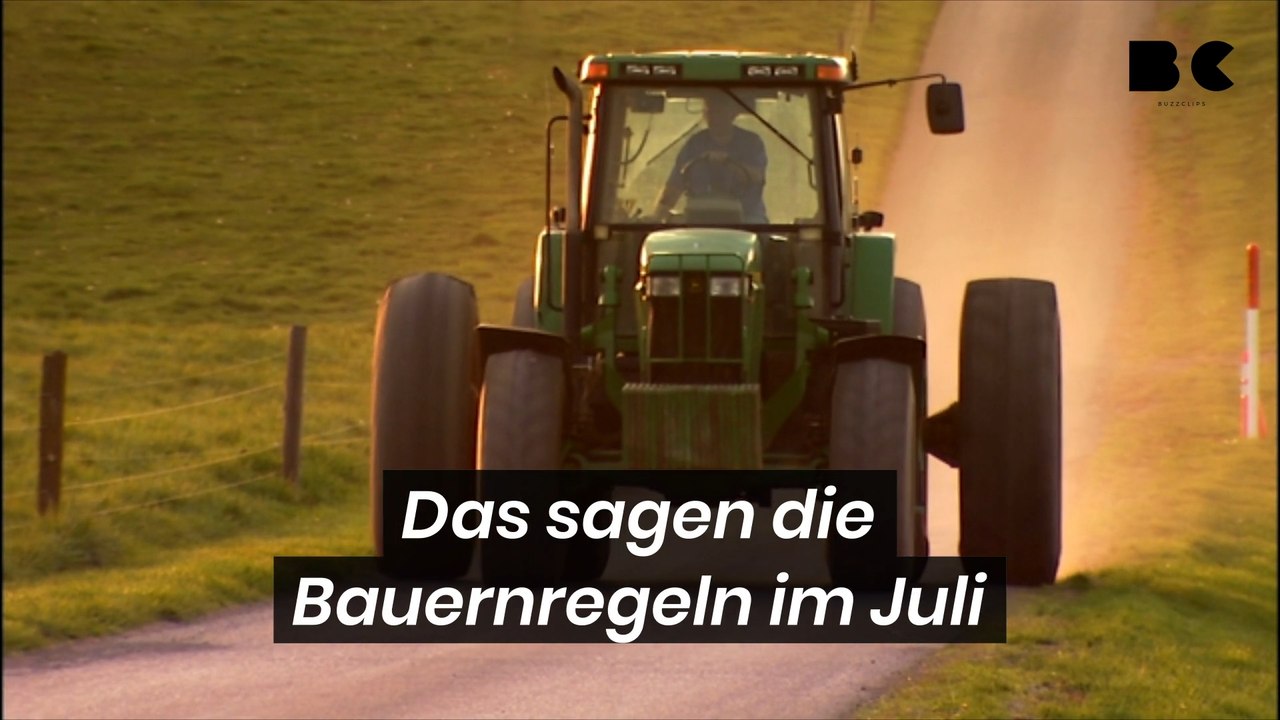 Das sagen die bauernregeln im juli