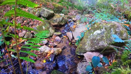 "Bien-être" eau qui coule - Relaxation détente