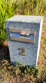 Ants Swarm Letterbox After Rain