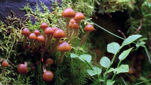 Un sort pour éloigner les ténèbres Bande-annonce (EN)