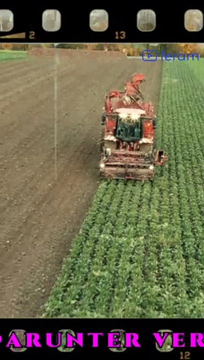 KAMPAGNE RÜBENERNTE     -     https://youtube.com/@BY-FERAM