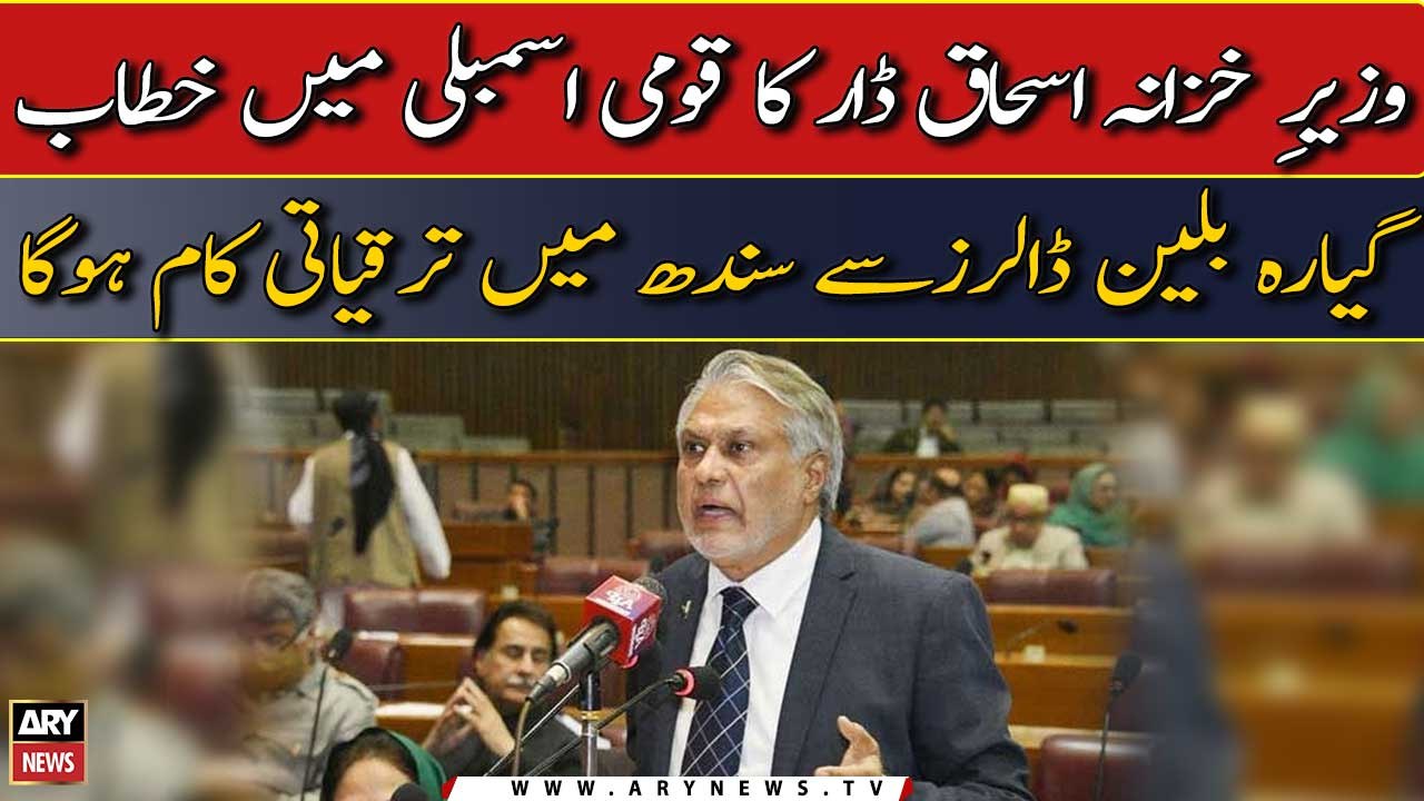 Ishaq Dar's important speech in National Assembly