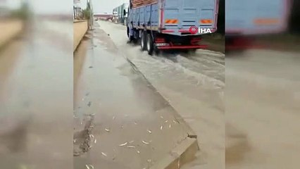 Sağanak yağmur yolları göle çevirdi