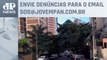 Moradores reclamam de falta de poda de árvores em Perdizes | SOS São Paulo
