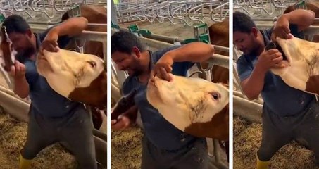 Kurban pazarında skandal görüntüler: Kurbanlık hayvana zorla içki içirdi