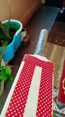 HOW TO PLAY DIFFERENT SHOTS #cricketshorts #cricketlover #viral