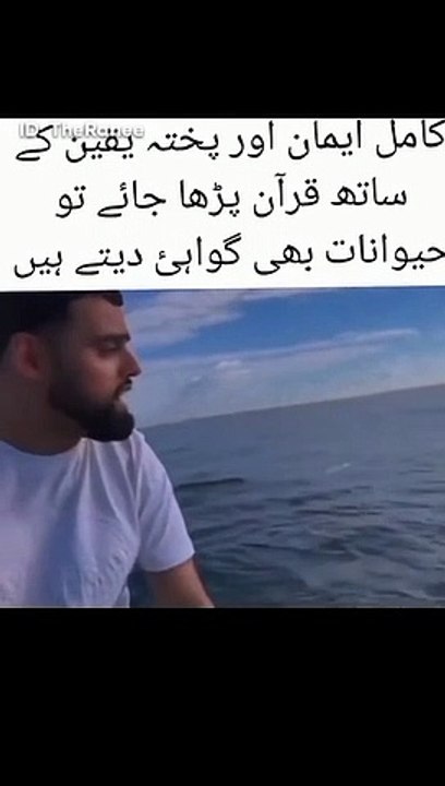 VID-20230619-WA0024