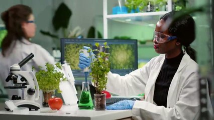 5 Crazy Ideas That Worked Out Fine