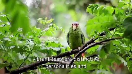 Parrots are fascinating creatures.