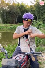 Best Funny Videos  - Try to Not Laugh #152