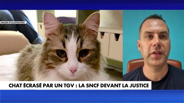 Stéphane Lamart : «Je ne comprends pas que le conducteur de ce train n’ait pas refusé de redémarrer. Il n’aurait pas dû démarrer»