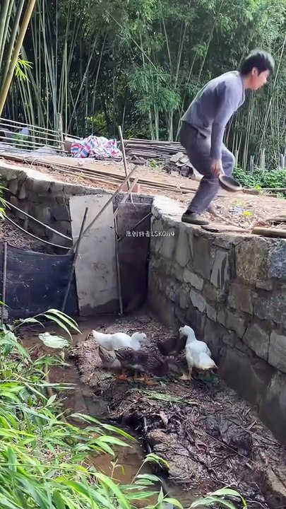 旧房改造 99
