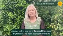 Dwyfor Meirionnydd MP Liz Saville Roberts asks party members to nominate her for new seat in the event of a general election