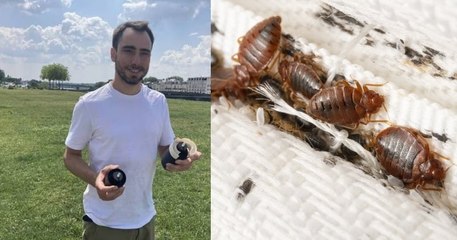 Il crée un piège anti-punaises de lit fabriqué en France et récemment récompensé au concours Lépine