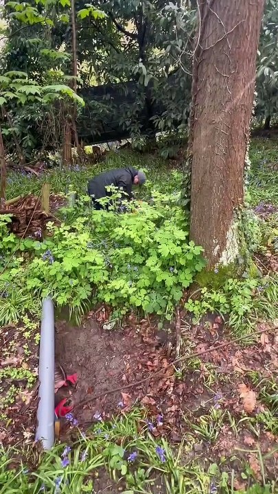 Découvres cet escape game de plus de 20 HEURES en pleine forêt une aventure unique et incroyable 