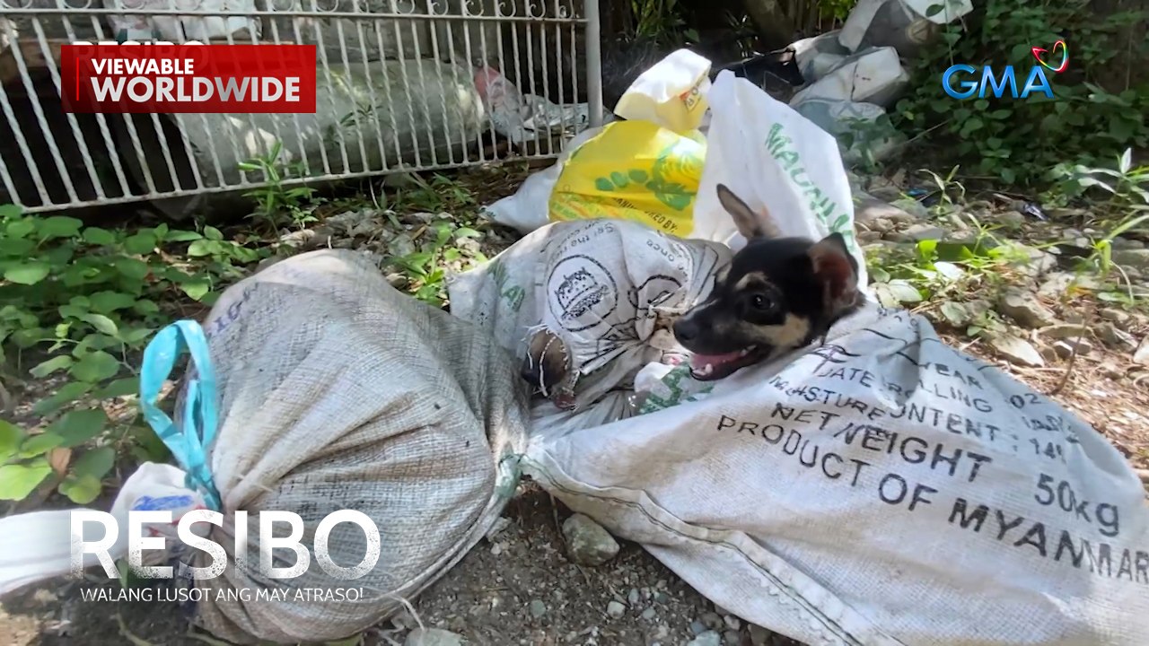 Suspek sa dog meat trade, natimbog ng mga awtoridad! | Resibo