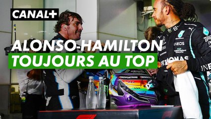 Alonso-Hamilton, deux anciens toujours au top - Grand prix du Canada