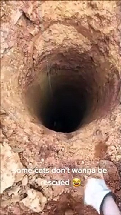 Il sauve un chat tombé dans un trou, mais il ne veut pas être sauvé