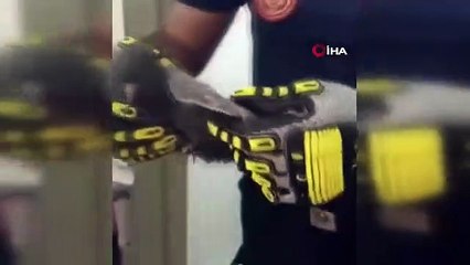 1 heure d'opération de sauvetage de pigeons par les pompiers