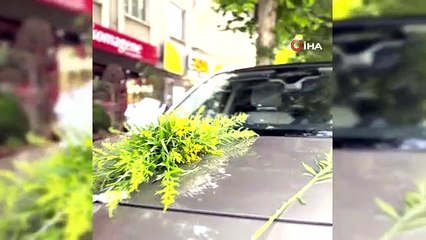 Le véhicule officiel du président Tahmazoğlu TOGG est devenu la voiture de la mariée