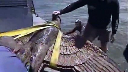 Presidente de Uruguay desiste de convertir águila de acorazado nazi en paloma de la paz