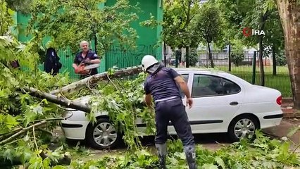 Ölümden saniyelerle kurtuldu, başına gelenlerden sonra kiraz topladı