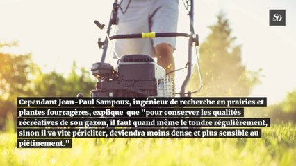 Pourquoi vous ne devriez pas tondre votre jardin avant la mi-juin