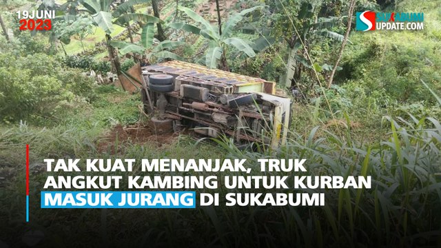 Tak Kuat Menanjak, Truk Angkut Kambing untuk Kurban Masuk Jurang di Sukabumi