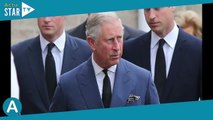 William et Harry réconciliés et complices : le roi Charles lance un appel à ses fils