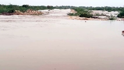 सुकड़ी नदी में बहता पानी।